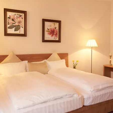 Muttererhof בית הארחה מוטרס